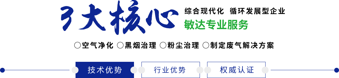 鸡巴操鸡巴网站敏达环保科技（嘉兴）有限公司
